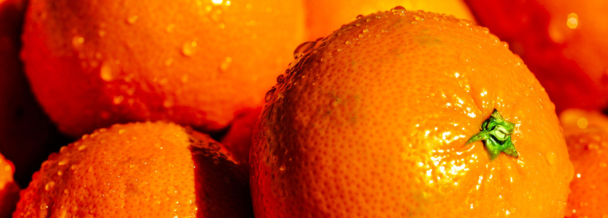 破解版永久使用的轰炸电话号码