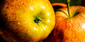 哪里买最靠谱的手机号轰炸业务网